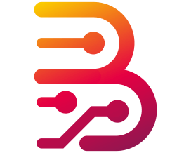 BORNEO 2 USER LICENSE 12 MONTHS ( ACTIVATION + RENEW )